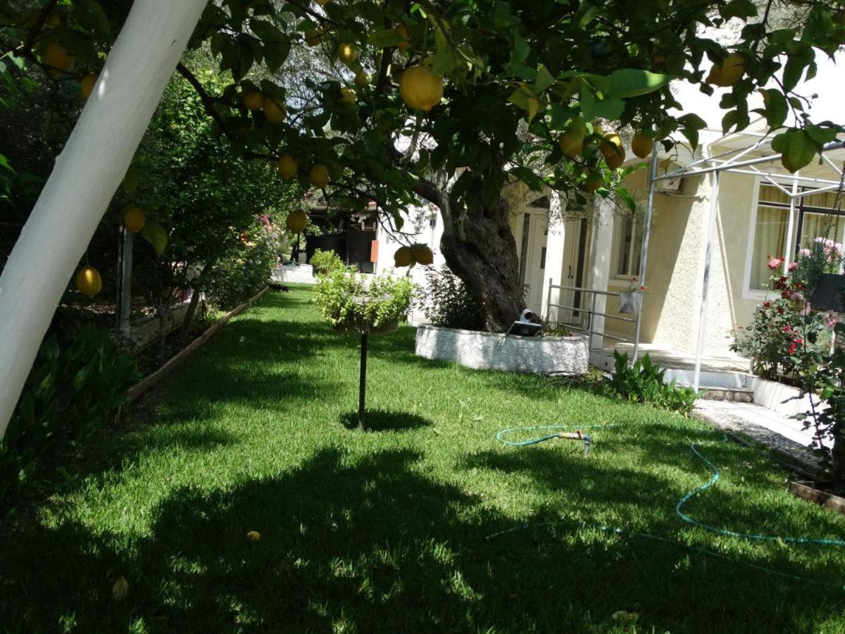 Margarita Apartments Nikiana Exterior foto